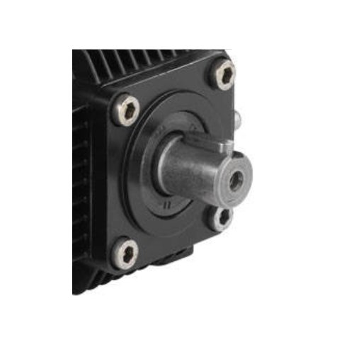 RKSS11.11N | Stainless Triplex Pump, 3 GPM 3000 PSI, 24mm Shaft - Image 2