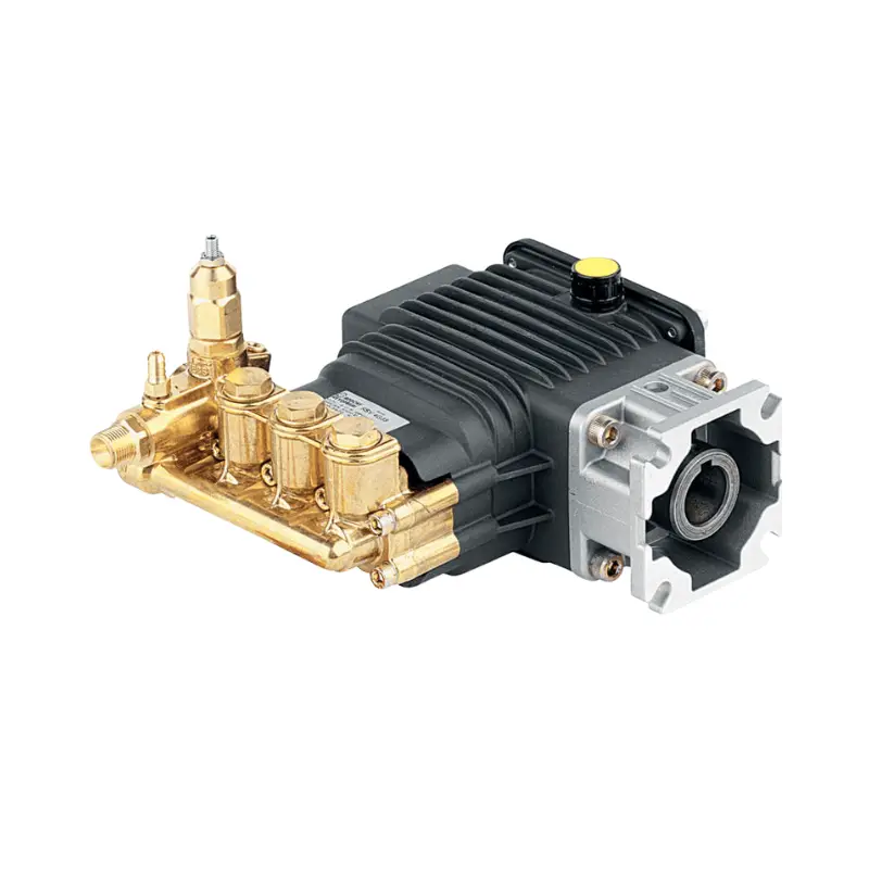 RSV3G30D-F25EZ pressure Washer Pump