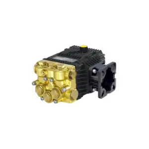 XTV2G20D Gas Pump 2.0 GPM 2000 PSI 3400 RPM